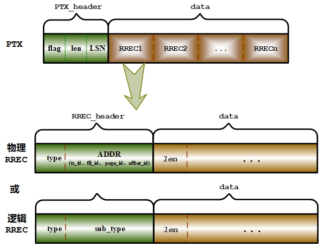 图 4.8 PTX 和 RREC 结构图.png